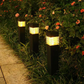🚗 Perfect for Driveways, Pathways & Front Yards