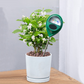 💦 Professional soil moisture meter for indoor & outdoor plants – Handy, Accurate, Plant‑friendly ✨