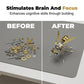 ⏰3D Metal Bee Puzzle Assembly Model Kit