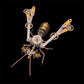 ⏰3D Metal Bee Puzzle Assembly Model Kit