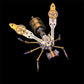 ⏰3D Metal Bee Puzzle Assembly Model Kit