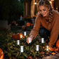 Solar Powered Pathway Stake Light