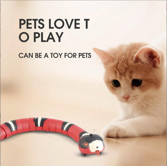 Smart Sensing Snake