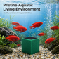 🐠💧 Activated Carbon Filter Cube – honeycomb filtration clears cloudy water, removes odors. Anti-crumble block for crystal-clear aquarium! 🛡️✅